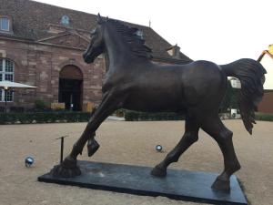 IRCAD et les anciens Haras royaux de Strasbourg (16)