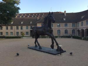 IRCAD et les anciens Haras royaux de Strasbourg (26)